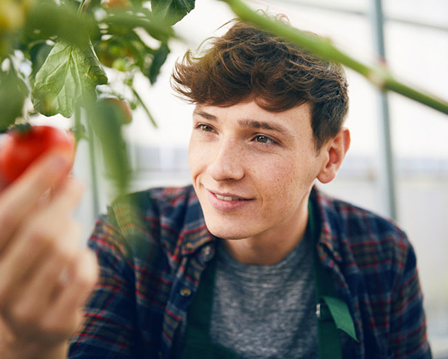 right-collage-sodexo